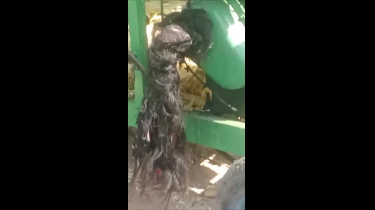 Video Thumb